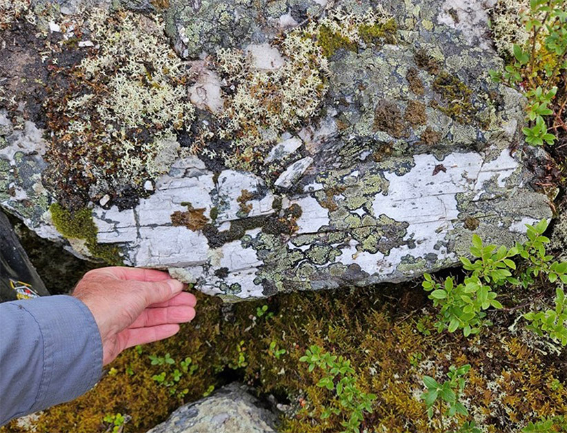 Figure 3: Another large, light-grey, prismatic spodumene crystal on the edge of an outcrop