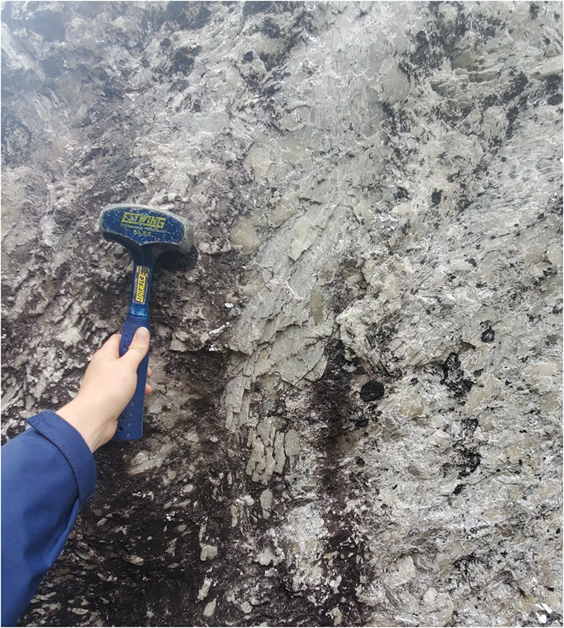 Figure 4: Large off-white spodumene crystal in one of several new boulder discoveries