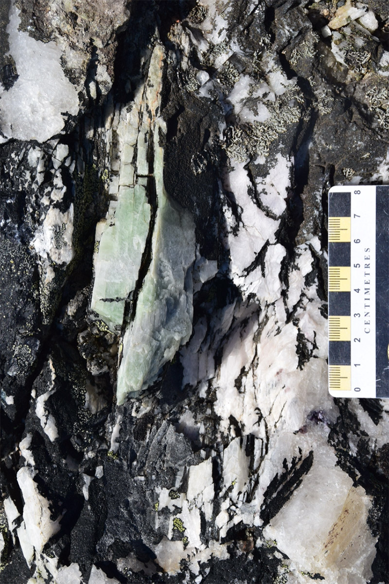 Figure 3: Spodumene at one of the 2025 Discovery Outcrops