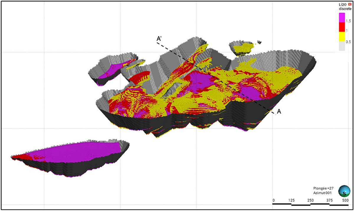 Figure 2 : Vue 3D de l'estimation des ressources (vue vers le nord)